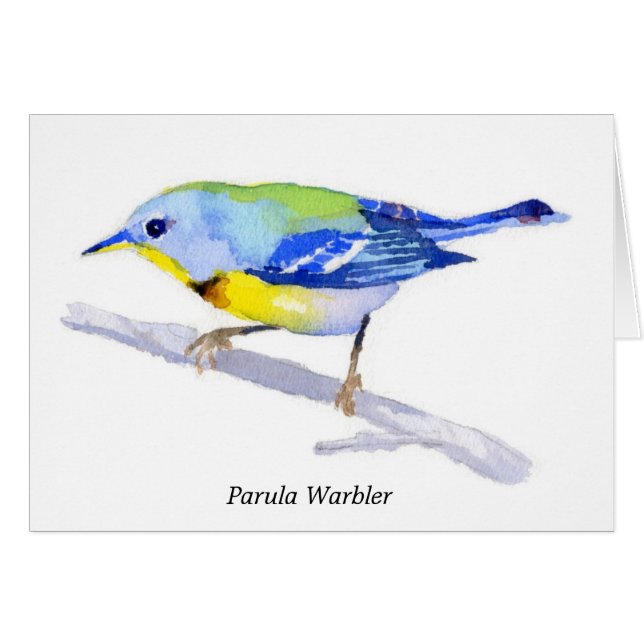 Parula-Trällerer (Vorderseite (Horizontal))