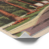 Pasadena, CA - Residental Street Scene & Palms Poster (Ecke)