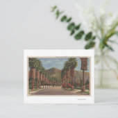 Pasadena, CA - Residental Street Scene & Palms Postkarte (Stehend Vorderseite)