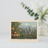 Pasadena Postcard Schnee und Orange Groves Postkarte (Stehend Vorderseite)