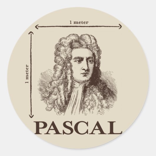 Pascal = 1 Newton pro Quadratmeter Mathematik-Witz Runder Aufkleber (Vorderseite)