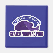 Paschimottanasana Seated Forward Fold • Calms Nerv Magnet (Vorne)