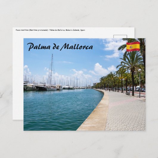 Paseo maritimo - Palma de Mallorca, Spanien Postkarte (Vorne/Hinten)