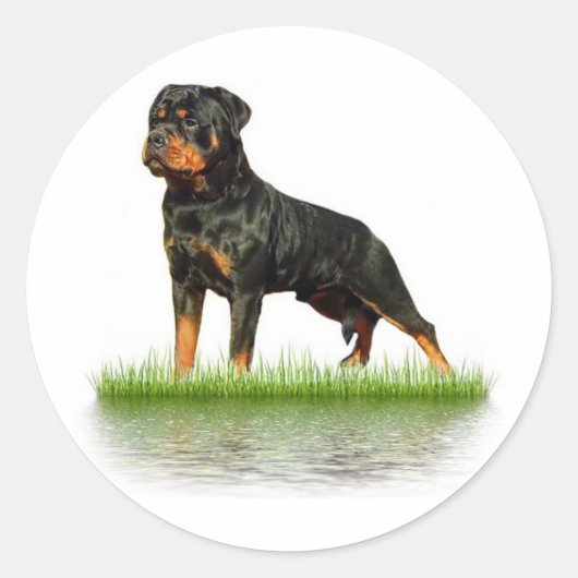 Pasha Earl Antonius Runder Aufkleber (Vorderseite)