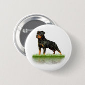 Pasha-Graf Antonius Button (Vorne & Hinten)