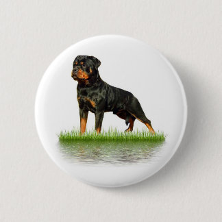 Pasha-Graf Antonius Button