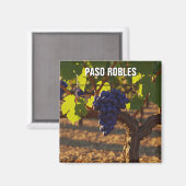 Paso Robles California Central Coast Magnet (Vorderseite/Rückseite)
