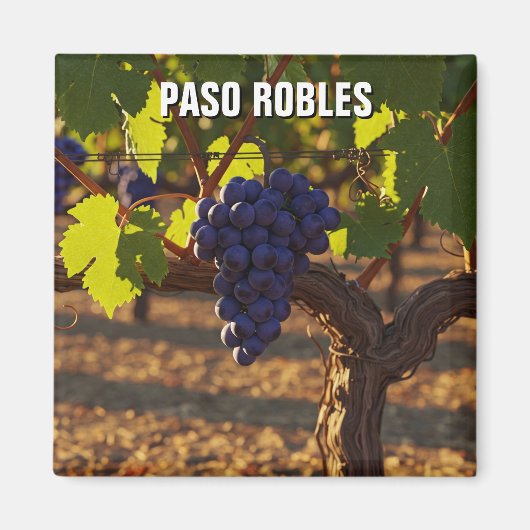 Paso Robles California Central Coast Magnet (Vorne)