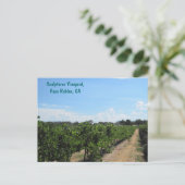 Paso Robles, Kalifornien, Weinland Postkarte (Stehend Vorderseite)