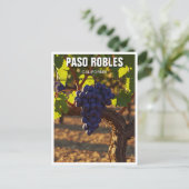 Paso Robles - Zentralküste Kaliforniens Postkarte (Stehend Vorderseite)