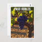 Paso Robles - Zentralküste Kaliforniens Postkarte (Vorne/Hinten)