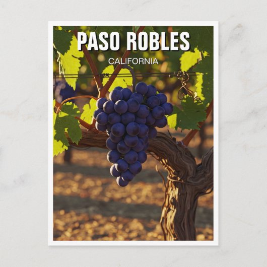 Paso Robles - Zentralküste Kaliforniens Postkarte (Vorderseite)