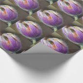 Pasque Blume Bud Geschenkpapier (Ecke)