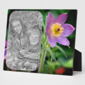 Pasque-Blume Erstellen Sie Ihr eigenes Foto Fotoplatte (Seite)