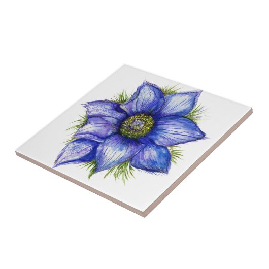 Pasque Blume in Blue Fliese (Seite)