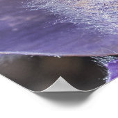 Pasqueflower Poster (Ecke)