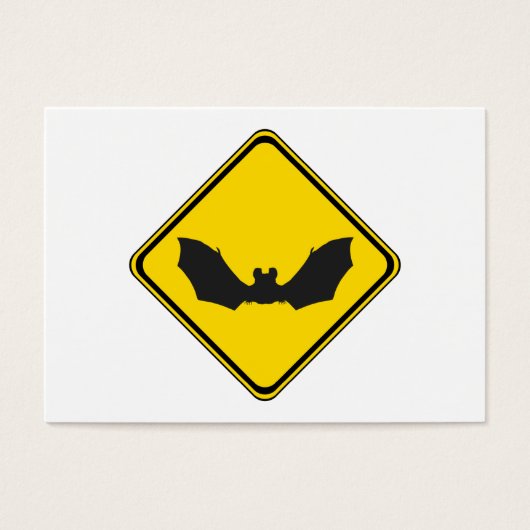 Pass auf! Fledermäuse! (Vorderseite)