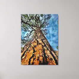 Pass auf! leinwanddruck