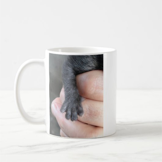 Pass auf mich auf, Kätzchen-Kaffeetasse Kaffeetasse (Links)