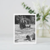 Pass auf! postkarte (Stehend Vorderseite)