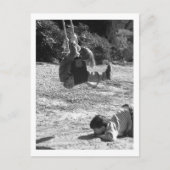 Pass auf! postkarte (Vorderseite)