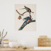 Passagier-Taube (1838) John J. Audubon Poster (Küche)