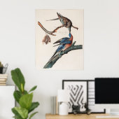 Passagier-Taube (1838) John J. Audubon Poster (Heimbüro)