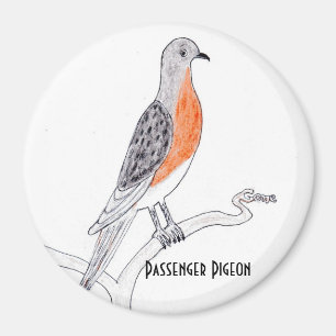 Passagier-Tauben-Kühlschrank-Magnet Magnet
