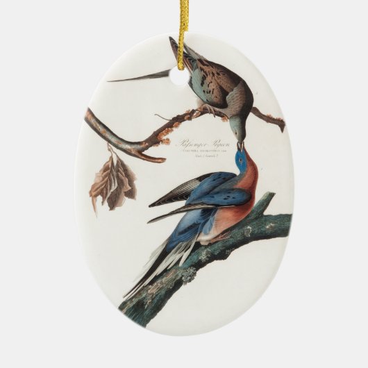 Passagiertaube (1838) John J. Audubon Keramikornament (Vorne)