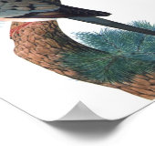 Passagiertaube - Ektopistenmiatorien P/folio Poster (Ecke)