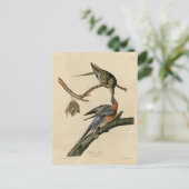 Passagiertaube von Audubons Vögeln Amerikas Postkarte (Stehend Vorderseite)