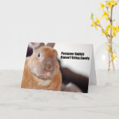 Passahfest-Kaninchen sagt Karte (Gelbe Blume)