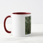 Passaic Falls, Paterson NJ Vintag Tasse (Links)