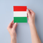 PASSBARER Flyer, rot, weiß und grün Flyer (Gruppe)