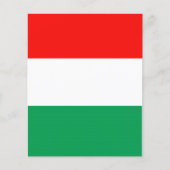 PASSBARER Flyer, rot, weiß und grün Flyer (Vorne)