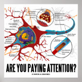 Passen Sie auf? (Neuron/Synapse) Poster (Vorne)