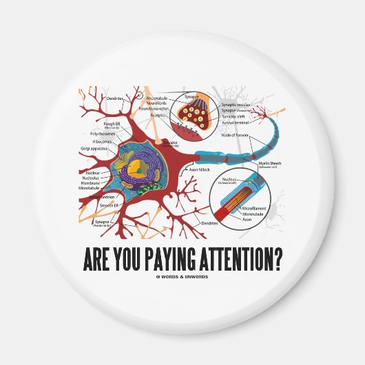 Passen Sie auf? (Neuron Synapse Spaß) Magnet (Vorne)