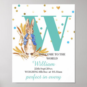 Passen Sie das Baby Boy Birth Poster an