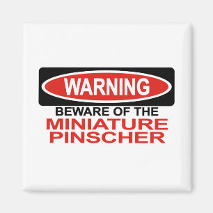 Passen Sie vom Zwergpinscher auf Magnet