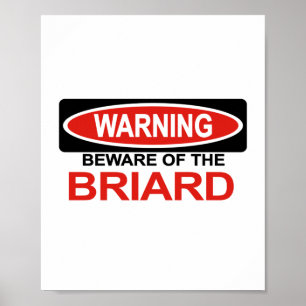 Passen Sie von Briard auf Poster