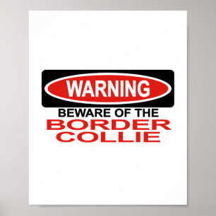 Passen Sie von der Border-Collie auf Poster