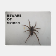 Passen Sie von der Spinne auf