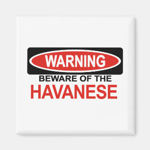 Passen Sie von Havanese auf Magnet