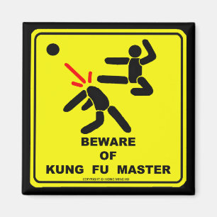 PASSEN SIE VON KUNG FU MEISTER AUF MAGNET