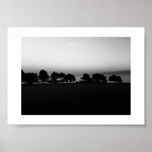 Passende Bäume Kanada Schwarz-Weiß-Fotografie Poster (Vorne)