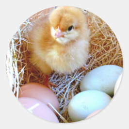 Passende Osteraufkleber Runder Aufkleber