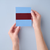 PASSENDER Blau- und Braun-Flyer Flyer (Gruppe)