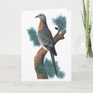 Passenger Pigeon - Wanderectopisten Karte