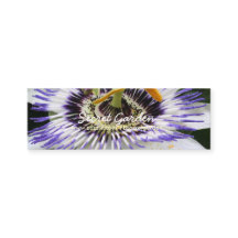 Passiflora 3 Blumenfotografie