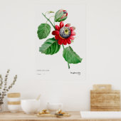 Passiflora Ailee - Atemberaubendes botanisches Kun Poster (Küche)